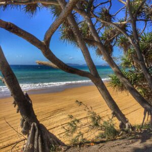 Through the trees From Rainbow Beach to Double Island Point